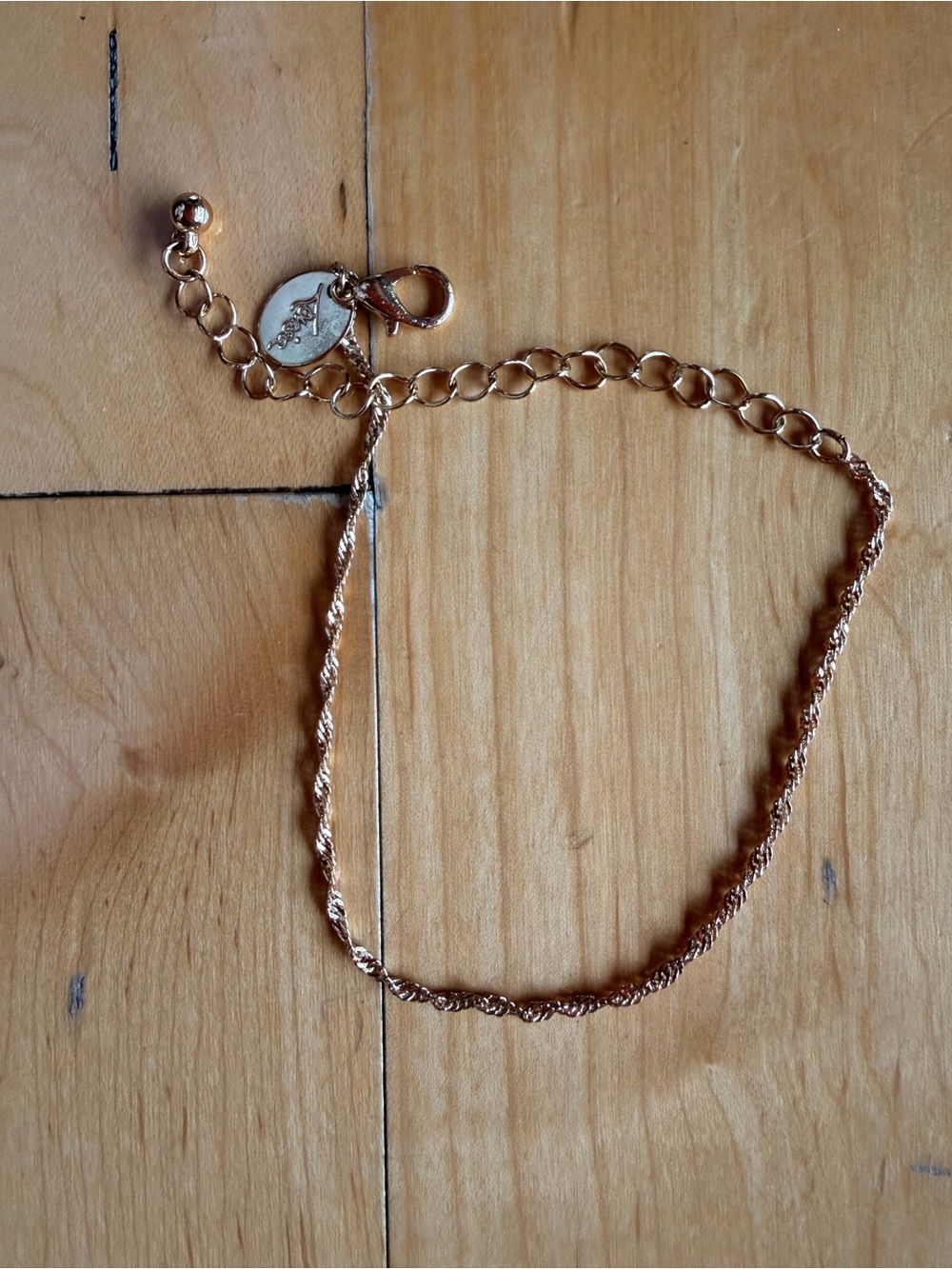 Delicate Gold Rope Chain Anklet with Adjustable Extender